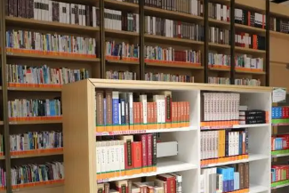 公共图书馆的特点和功能-公共图书馆服务规范